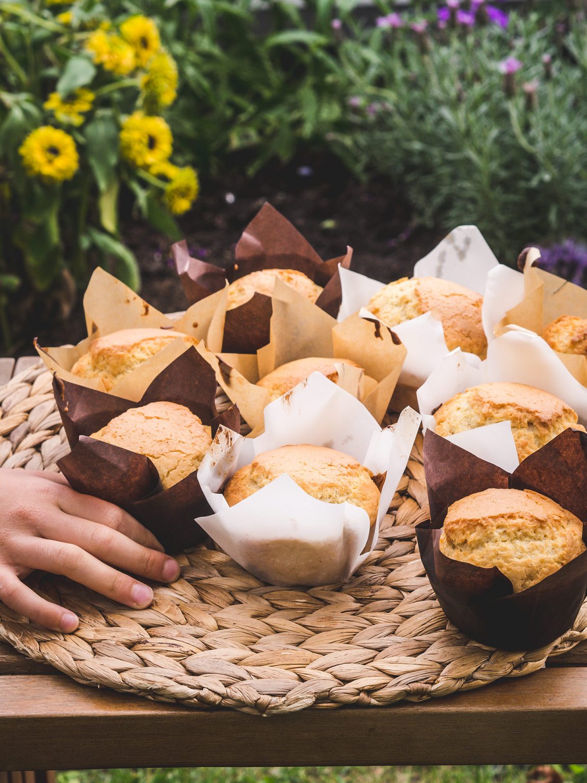 Glutenfreie Muffins Grundrezept Glutenfrei Rezepte
