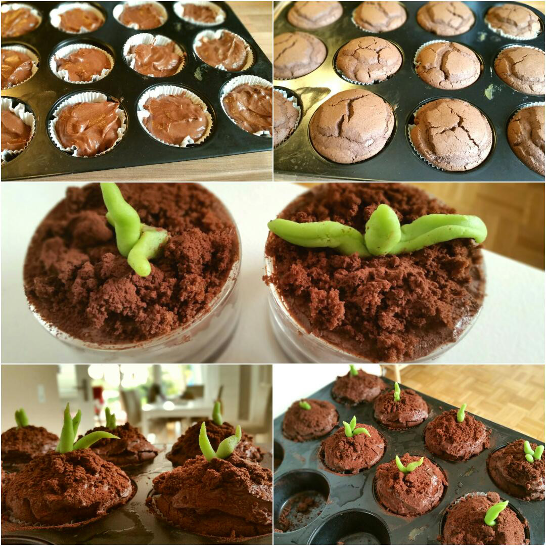 Schokoladen Pflanzen Muffins glutenfrei Collage