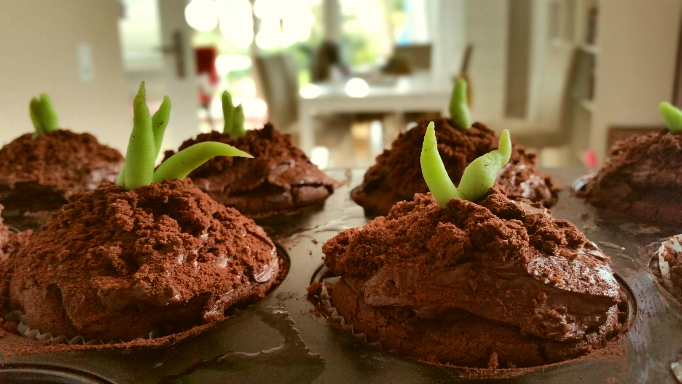 Schokoladen Pflanzen Muffins glutenfrei